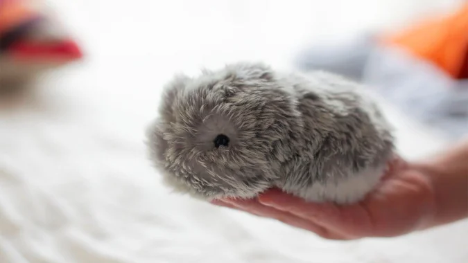 Ar Moflin yra robotas