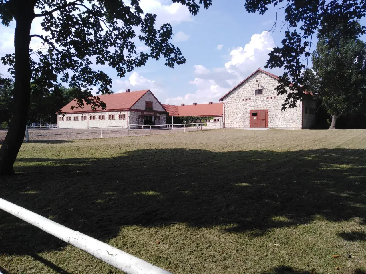 Arabų arkliai Lenkijoje