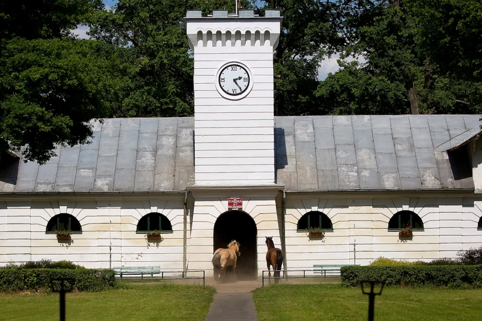 Arabų žirgynai Lenkijoje