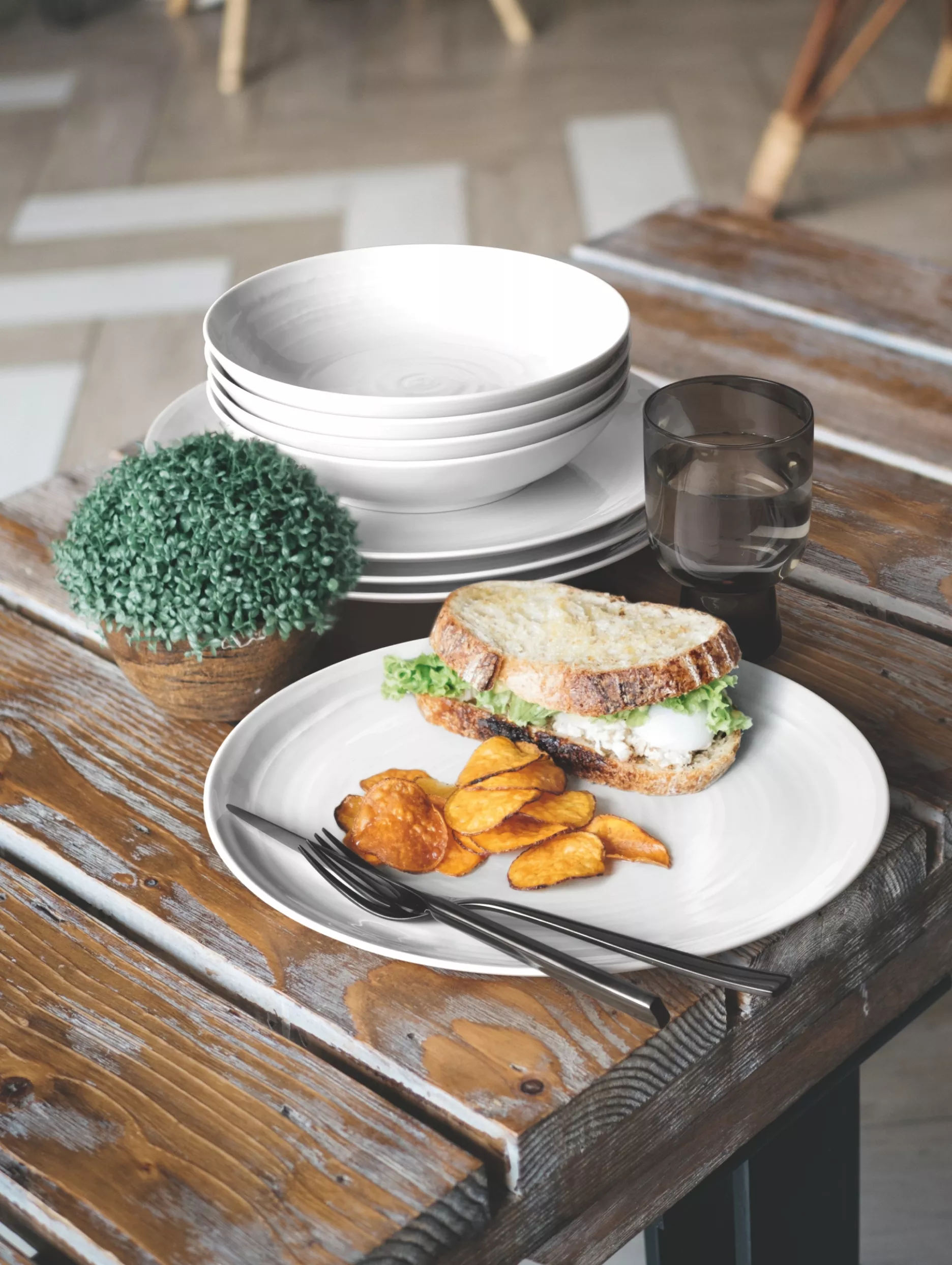 Pagrindinis baneris Velvet Black Min Istorija Seltmann Weiden