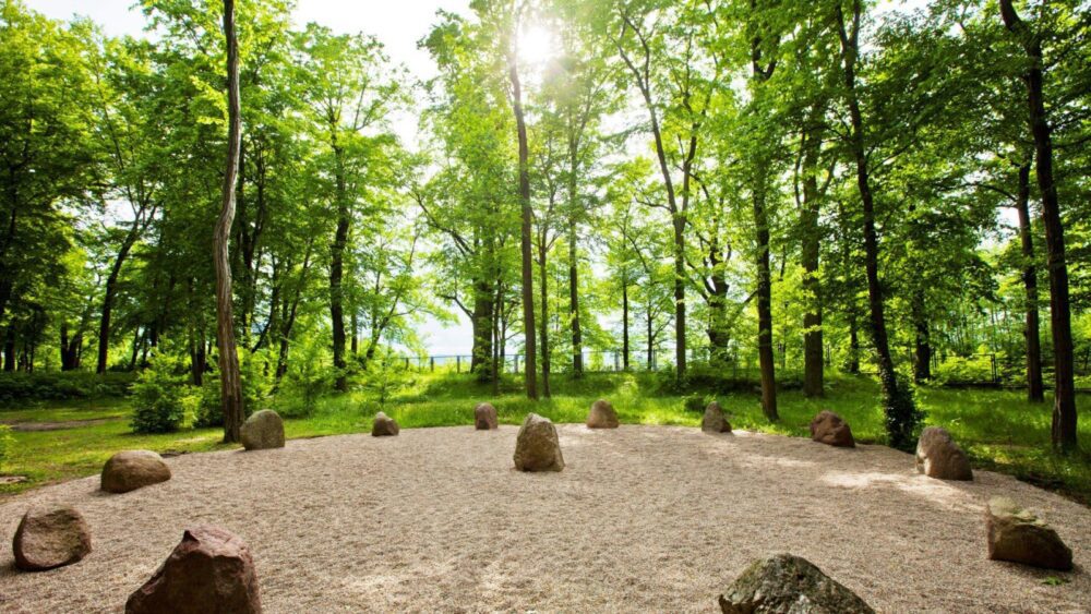 Viešbutis Manor House Kamienny Krag