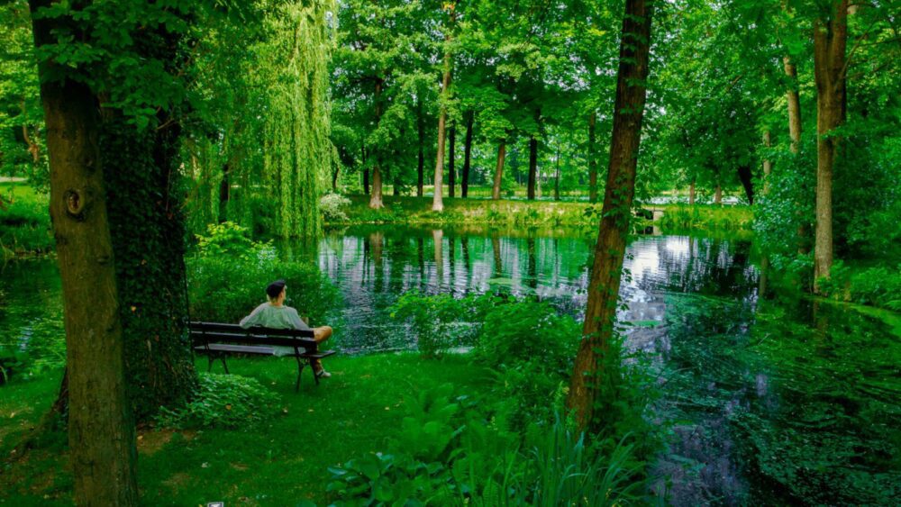 Viešbutis Manor House Park