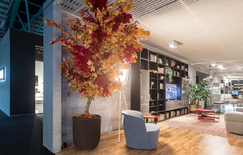 Kaip stabilizuoti augalus Blogas