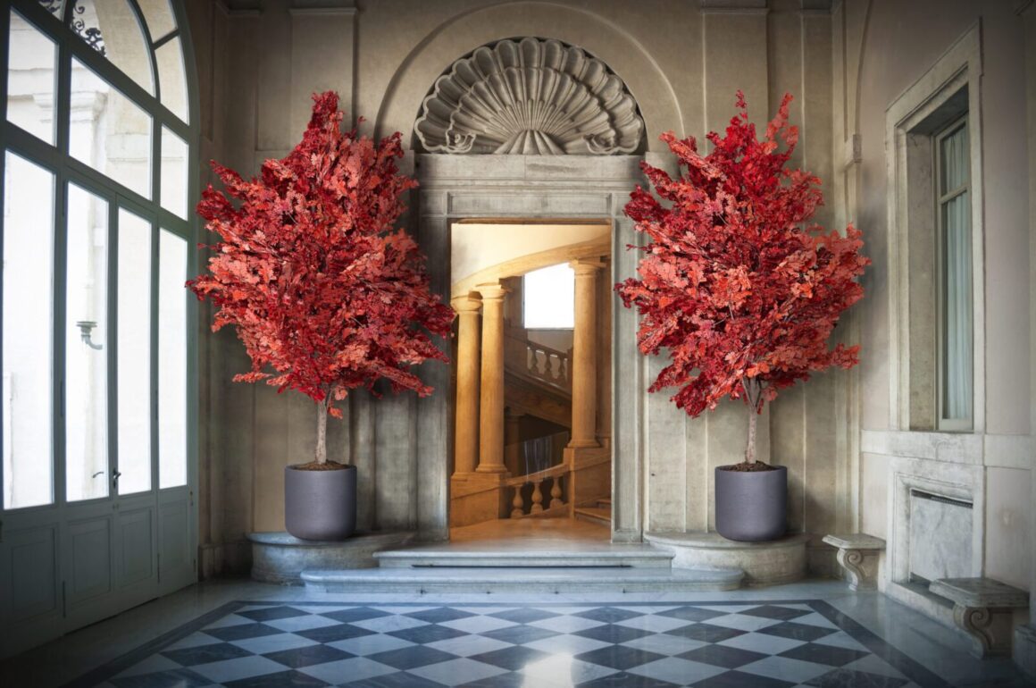 Kas yra augalų stabilizavimas