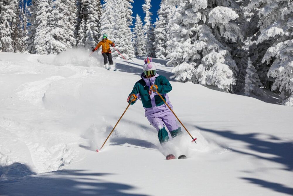 Kiek kainuoja Premium slidės