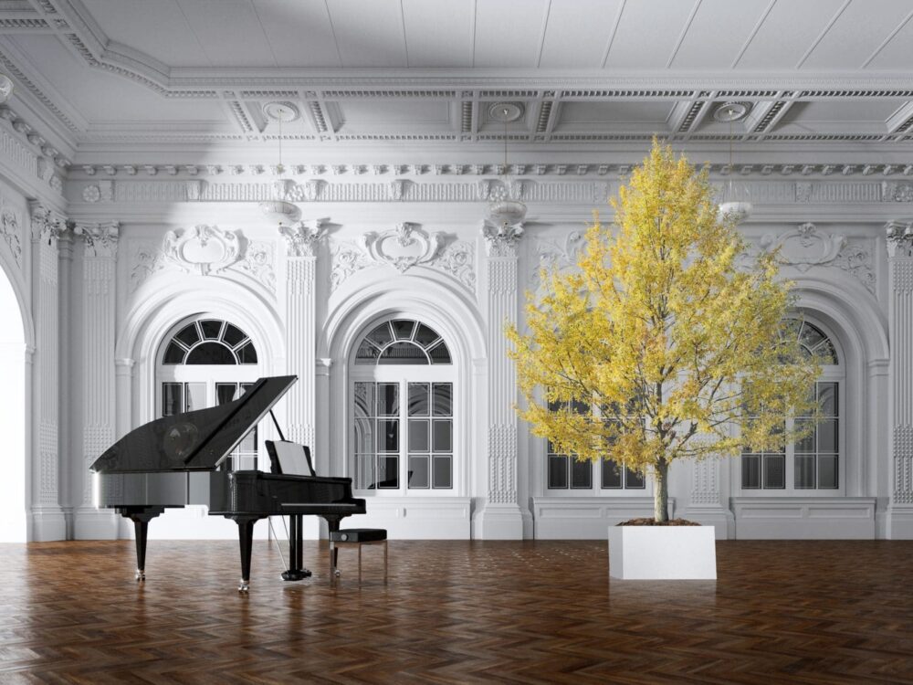 Stabilizuoti augalai