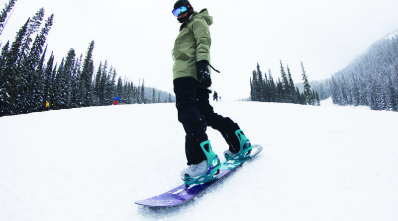 Snieglenčių lenta Kaina