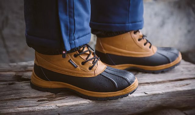 Vertigo Alpes – kas tai per įmonė?