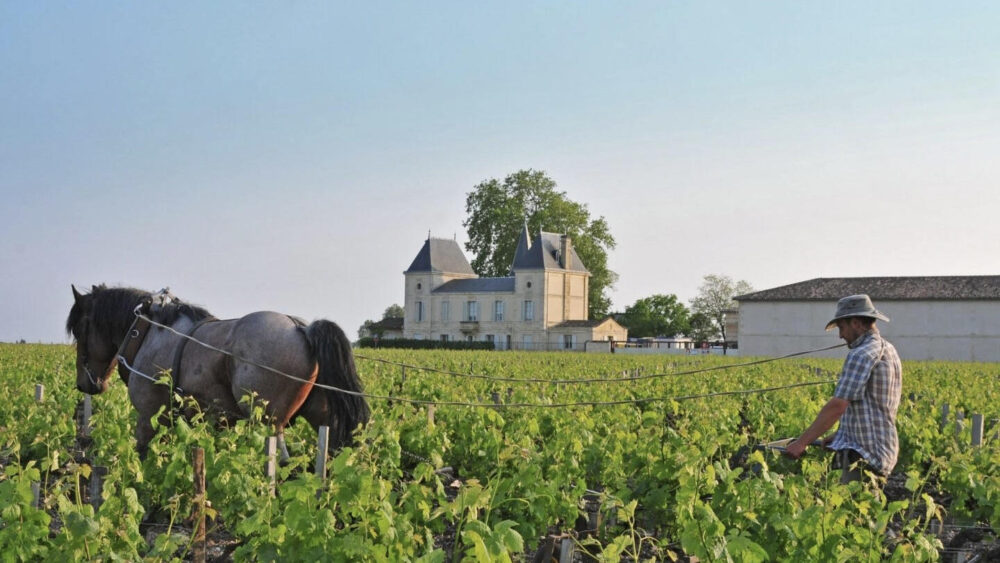 Vynas Chateau Margaux Kaina