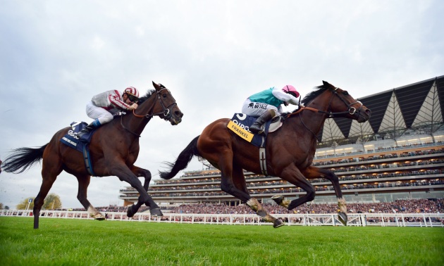 Frankel laimi prieš Cirrus Des Aigles 20 10 12 Nuotr. Bill Selwyn