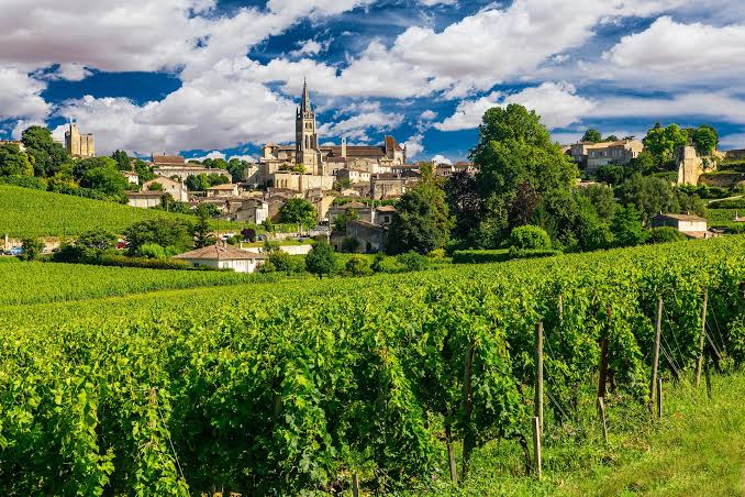 Bordeaux regiono vynininkystės
