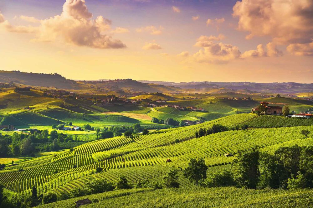 Langės vynuogynų saulėlydžio panorama, Barolo, Pjemontas, Italija, Europa
