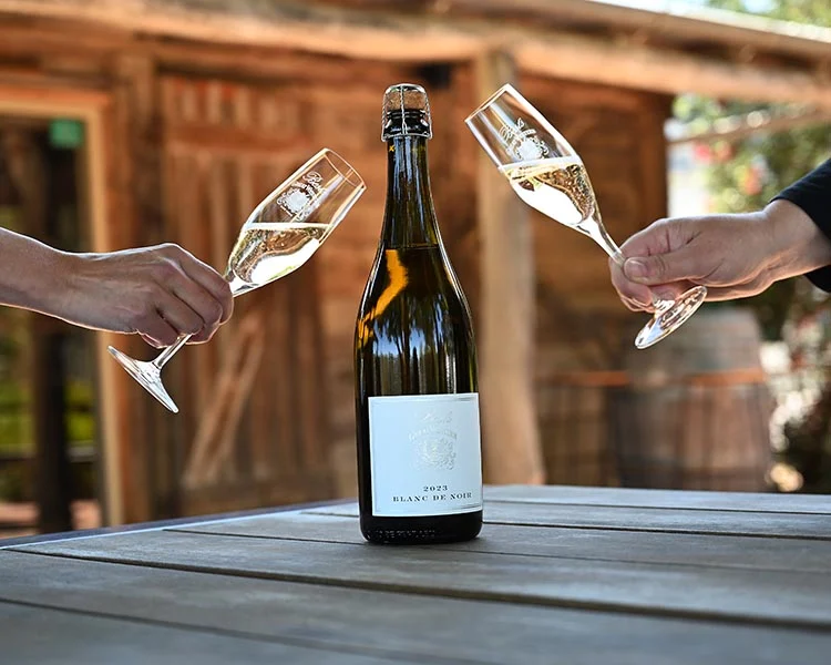 Blanc De Blancs Vs Blanc De Noirs Kaina