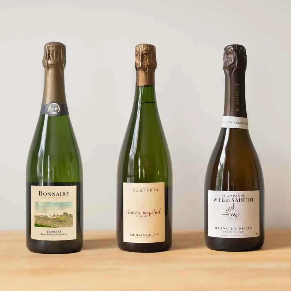 Blanc De Blancs Vs Blanc De Noirs Skirtumai